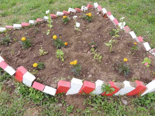 �����������