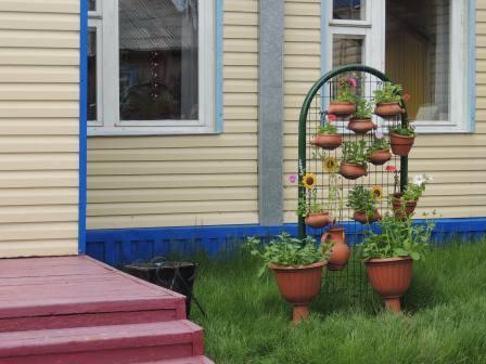 �����������